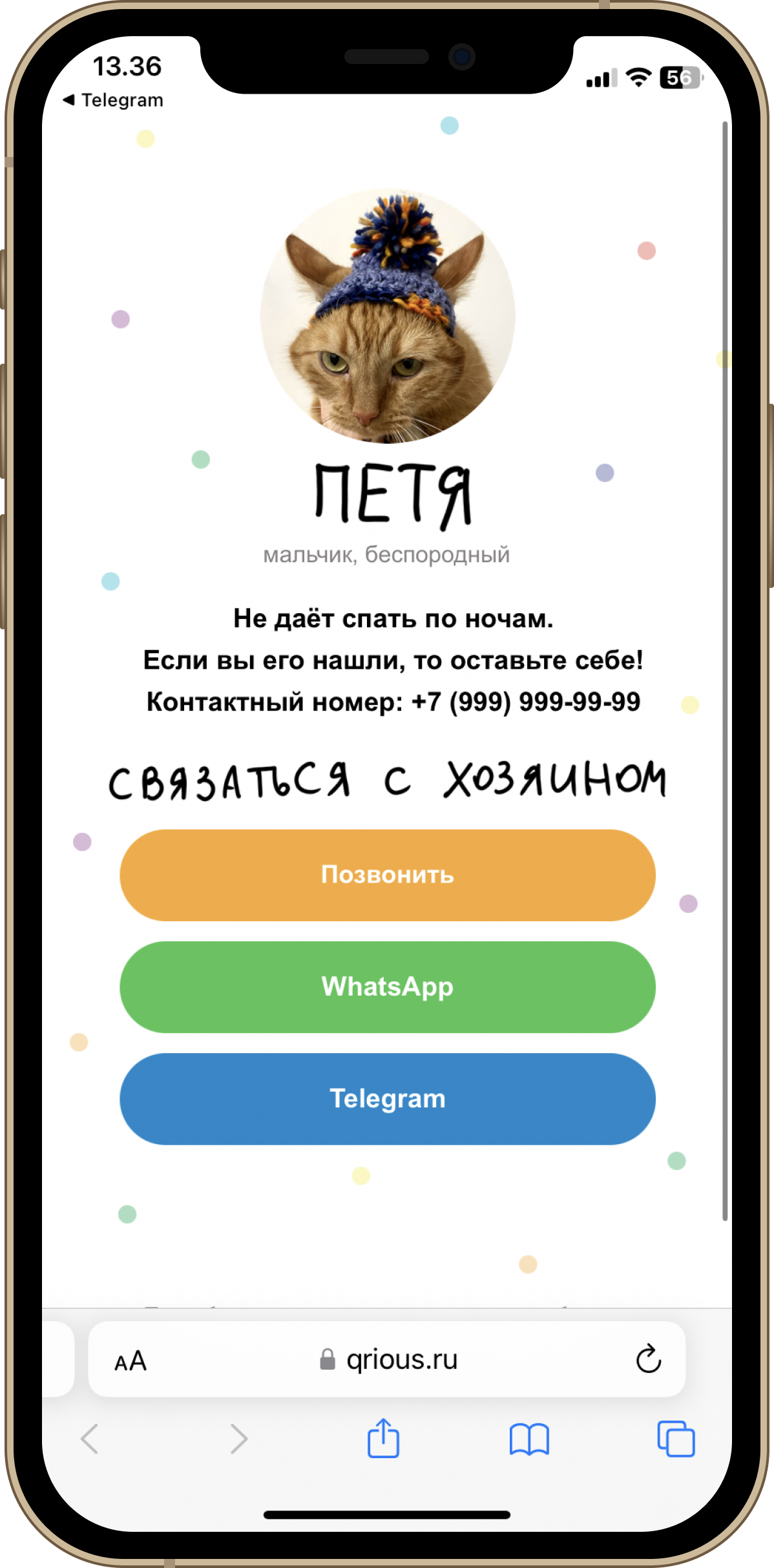 Скриншот профиля собаки, в котором указаны контактные данные владельца и информация про животного