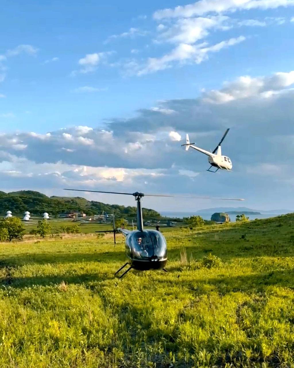 Вертолет на фоне поля и летающих чаек