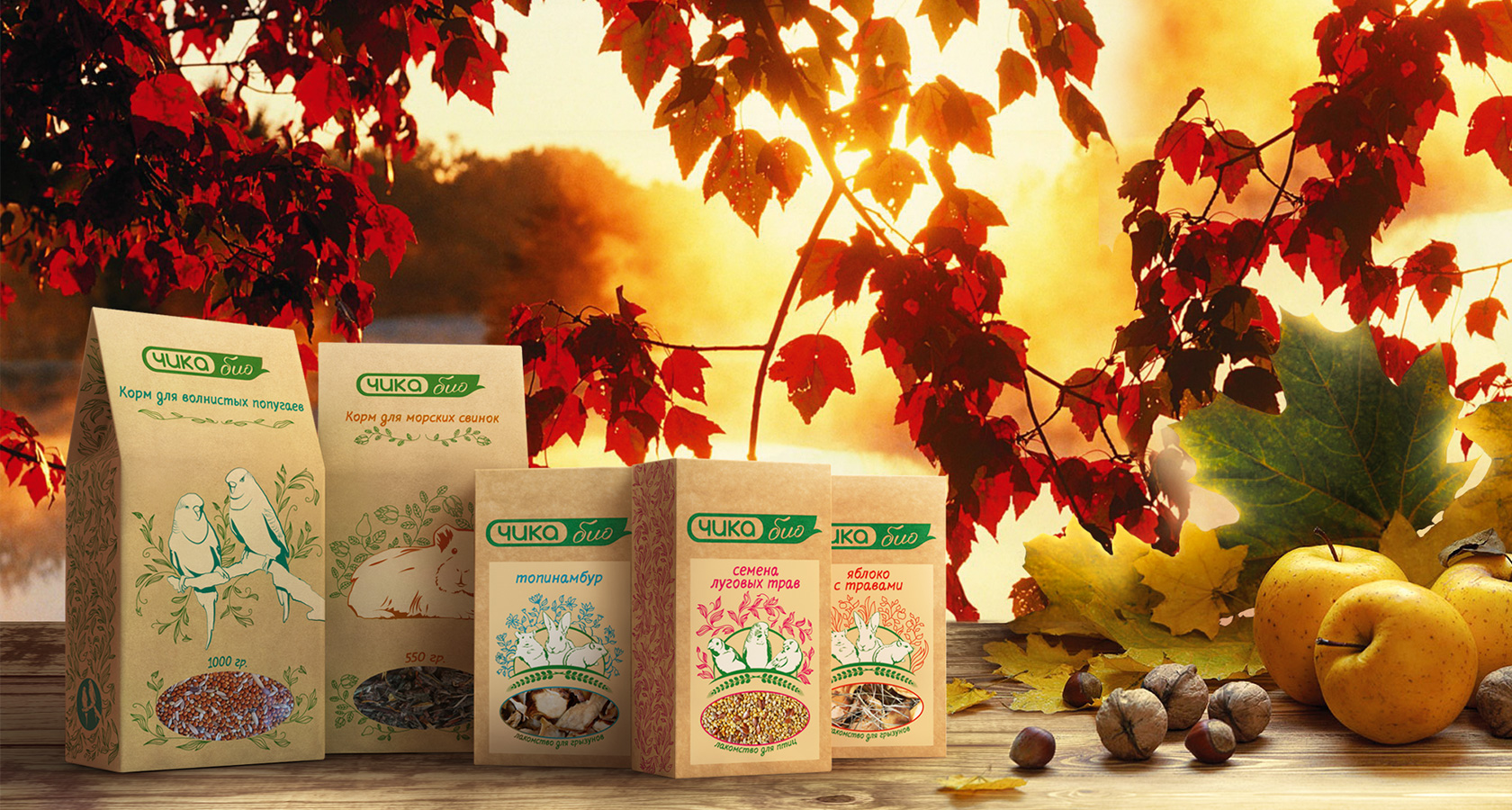 Дизайн упаковки