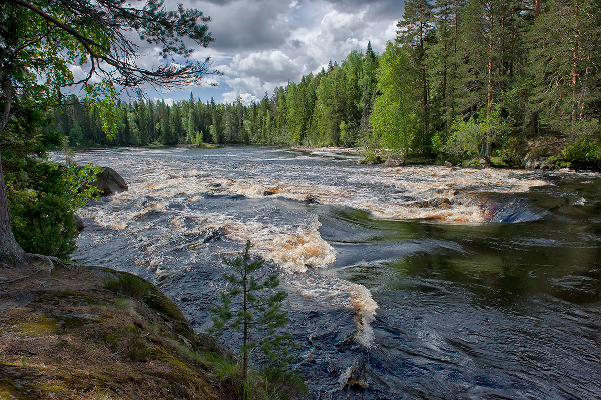 Любите реки