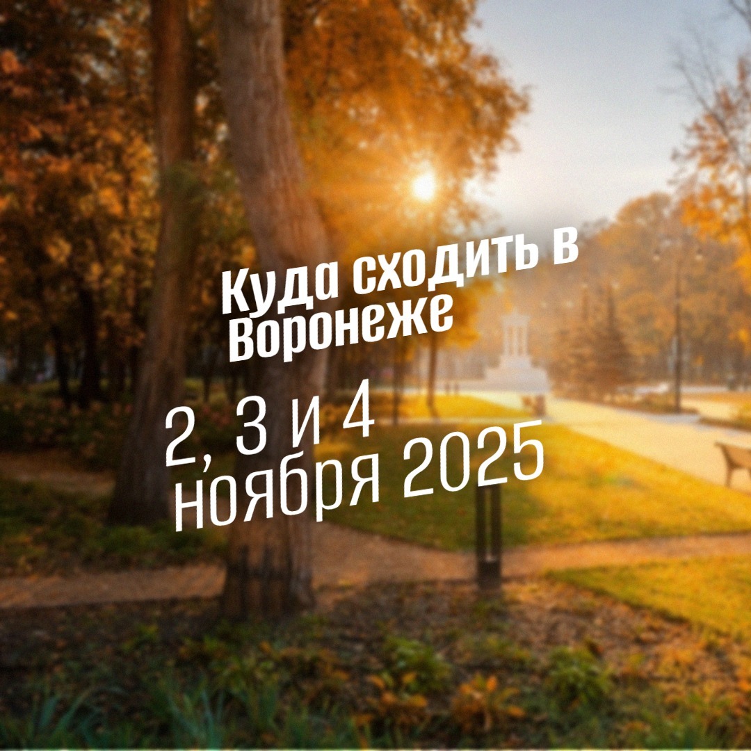 Куда сходить в Воронеже 2, 3 и 4 ноября 2025 afisha geekhostel