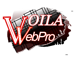 Voila Web Pro