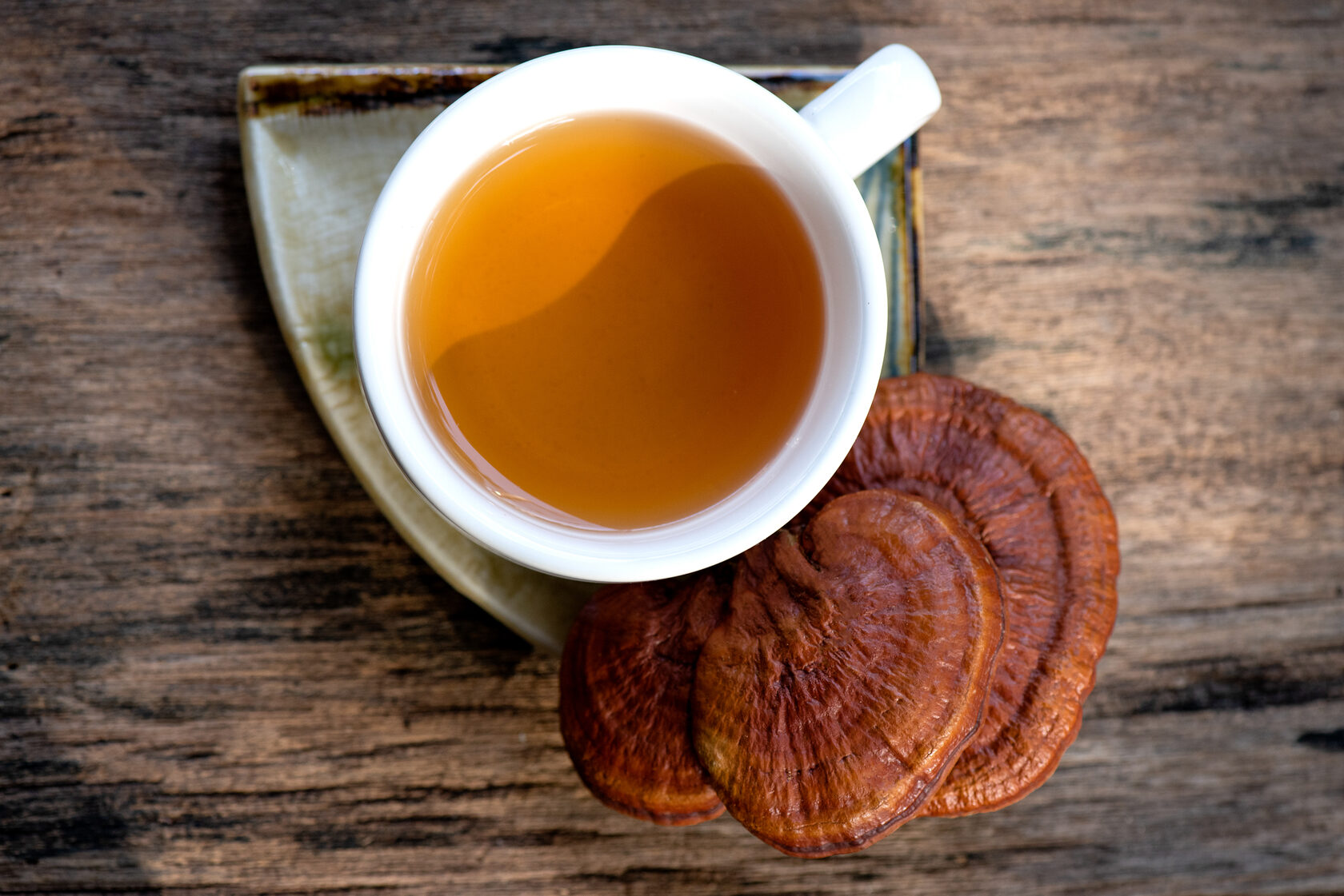 Свойства гриба Рейши