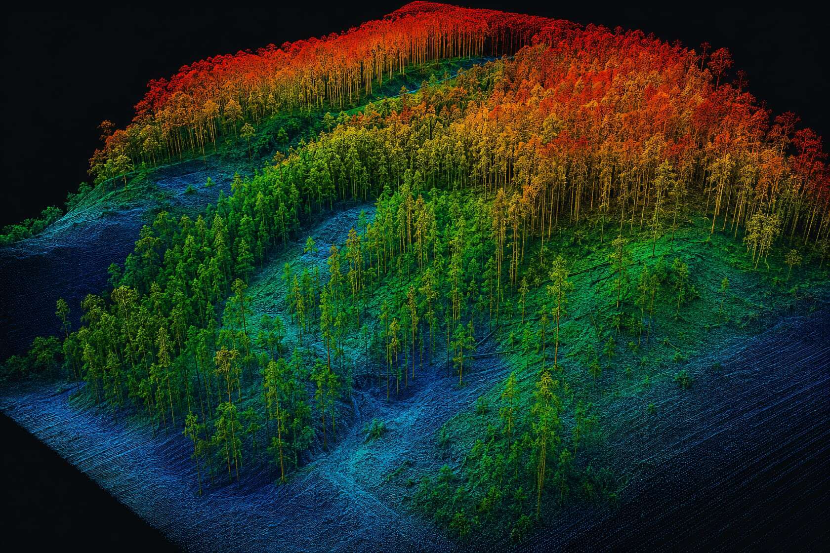 LiDAR облако точек — рельеф и деревья под кронами