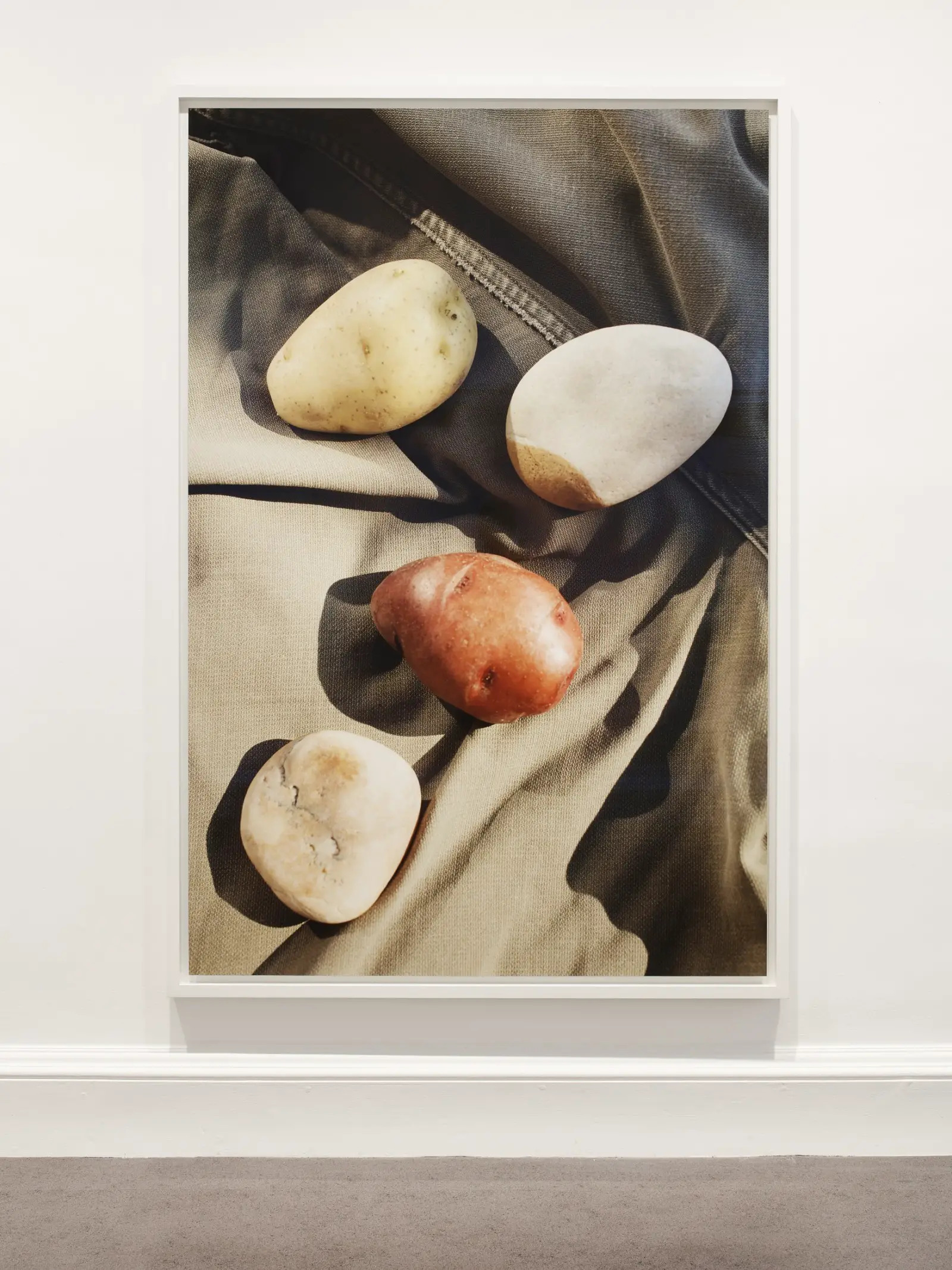 Wolfgang Tillmans фото