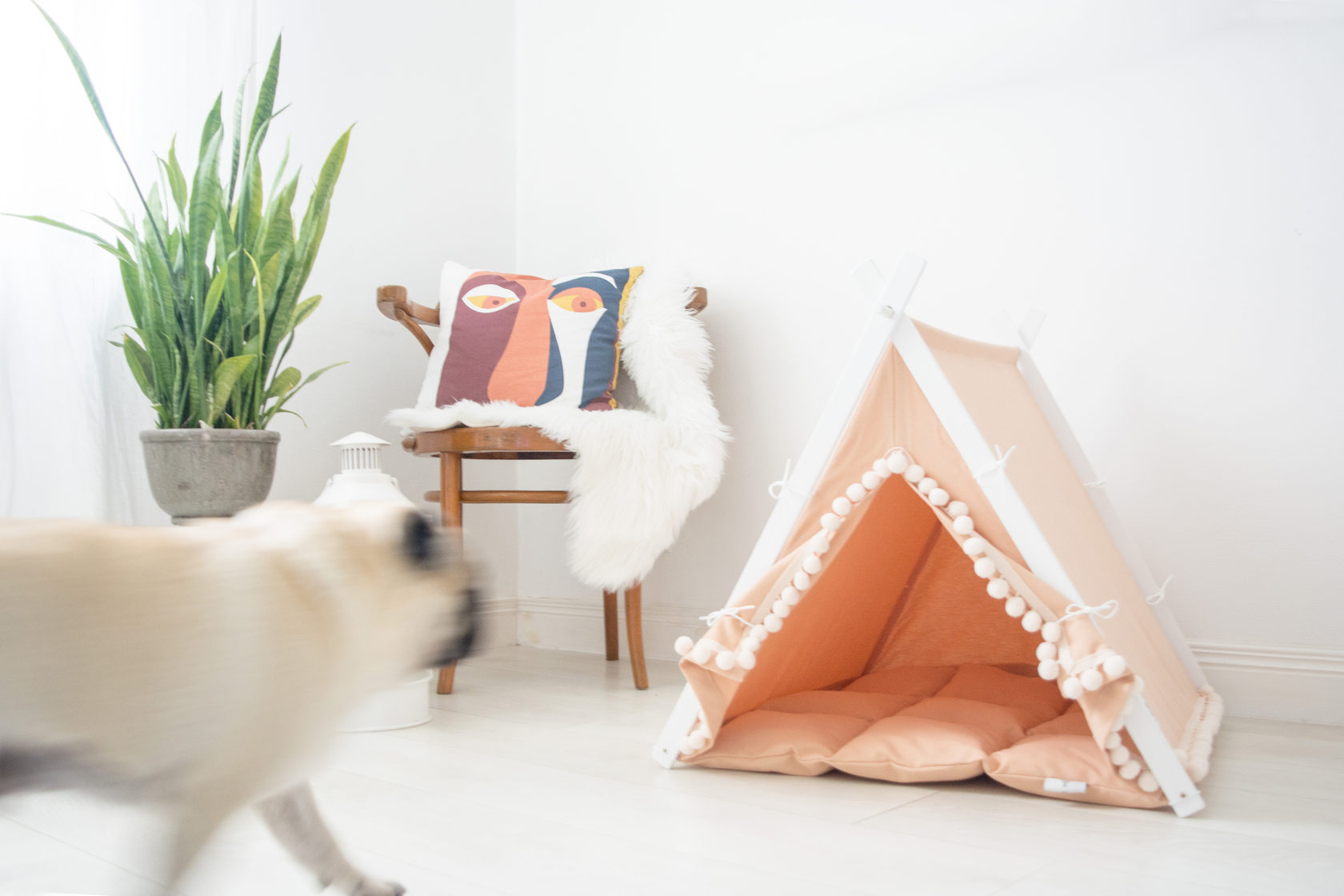 Boho White Dog Teepee Bed. Personalized Pug Frenchie Bed. 