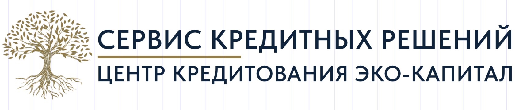  ЦЕНТР КРЕДИТОВАНИЯ ЭКО-КАПИТАЛ сервис кредитных решений 