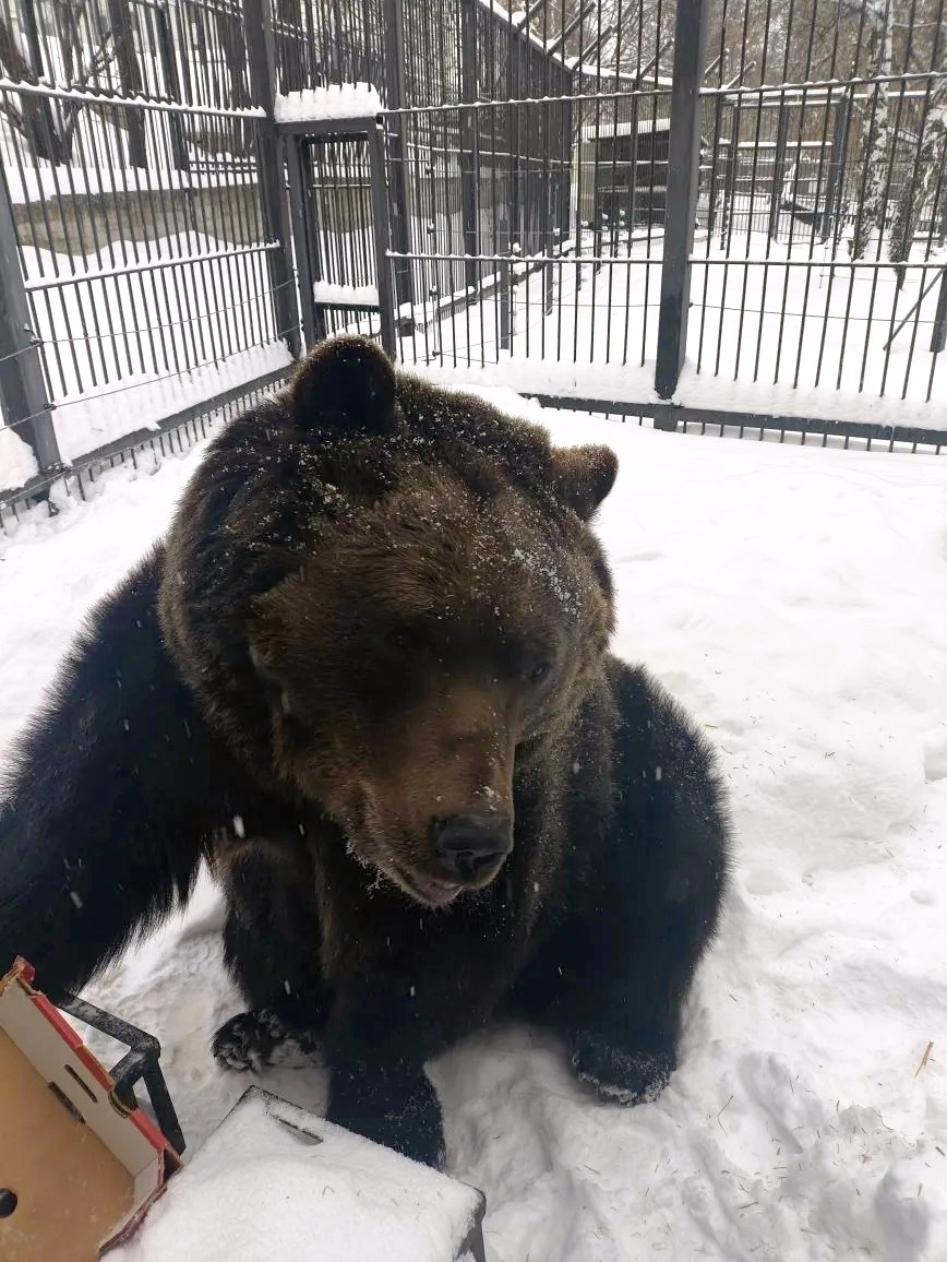 Зоопарк Пенза