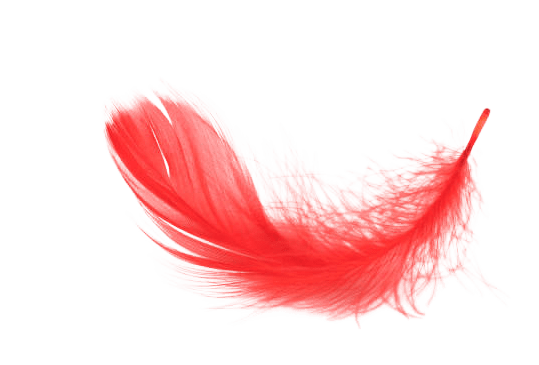 3 секрета от LOVE-коуча