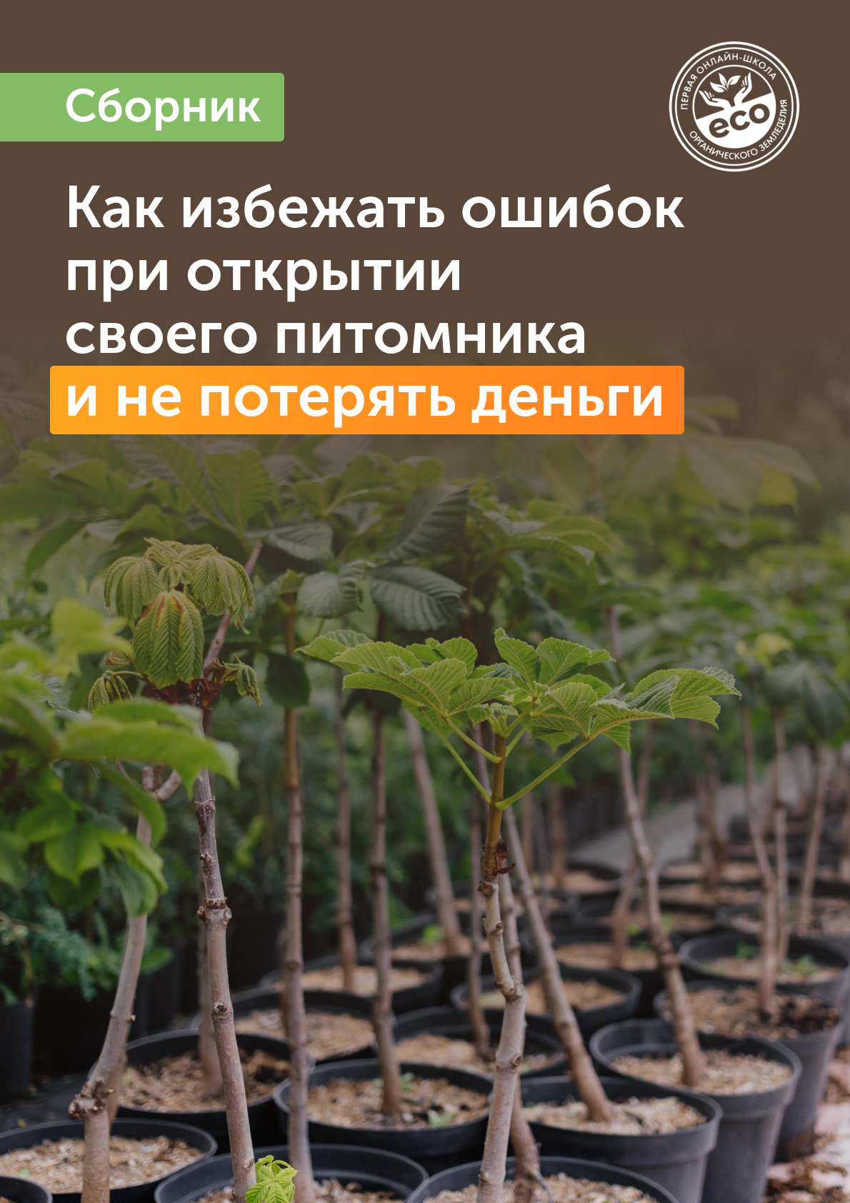 Интенсив по запуску своего питомника