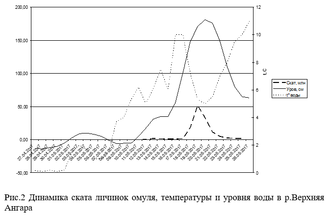 Динамика ската личинок омуля, температуры и уровня воды в реке Верхняя Ангара