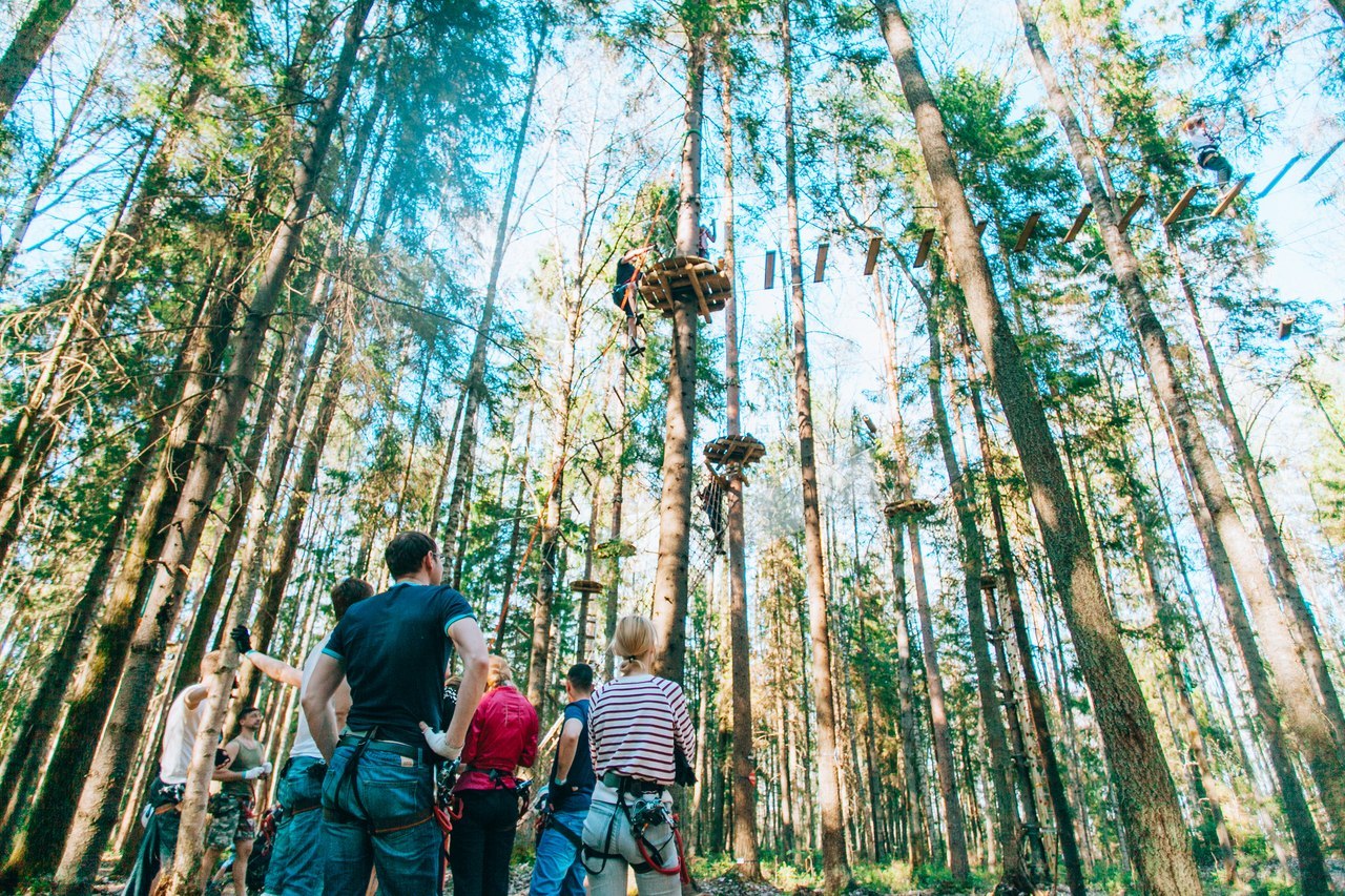 кошкино веревочный парк