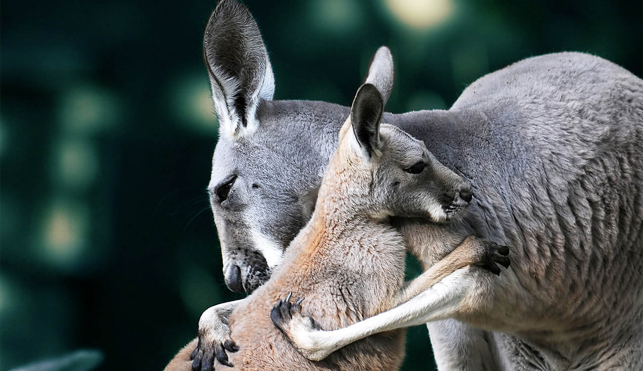 Как наладить отношения с ребенком