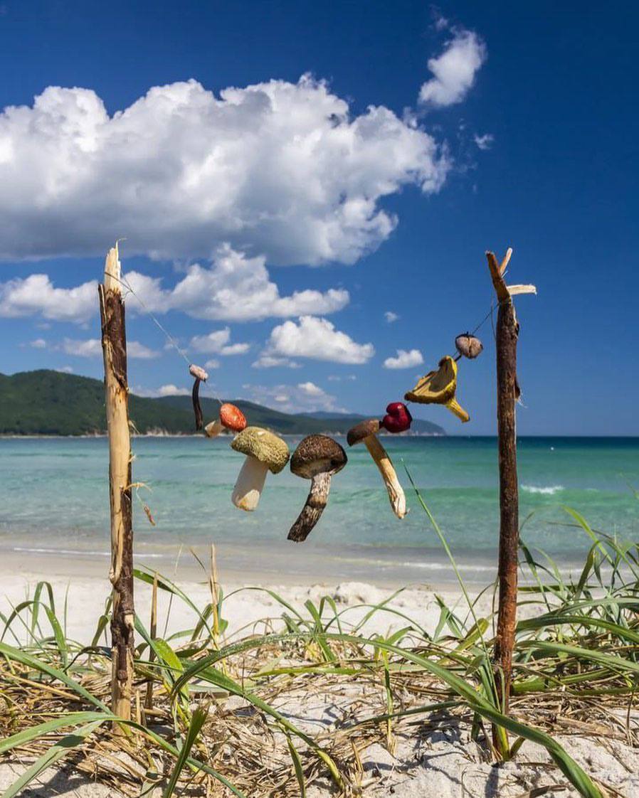 Декор из ракушек на фоне пляжа Японского моря