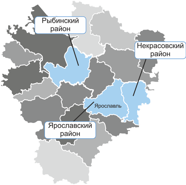 Набрали багажник белых грибов: ярославцы рассказали о самых грибных местах