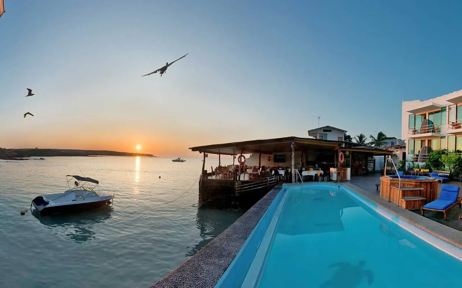 Бассейн на кромке бухты, лодка и птицы на закате, Hotel Solymar, Галапагосы