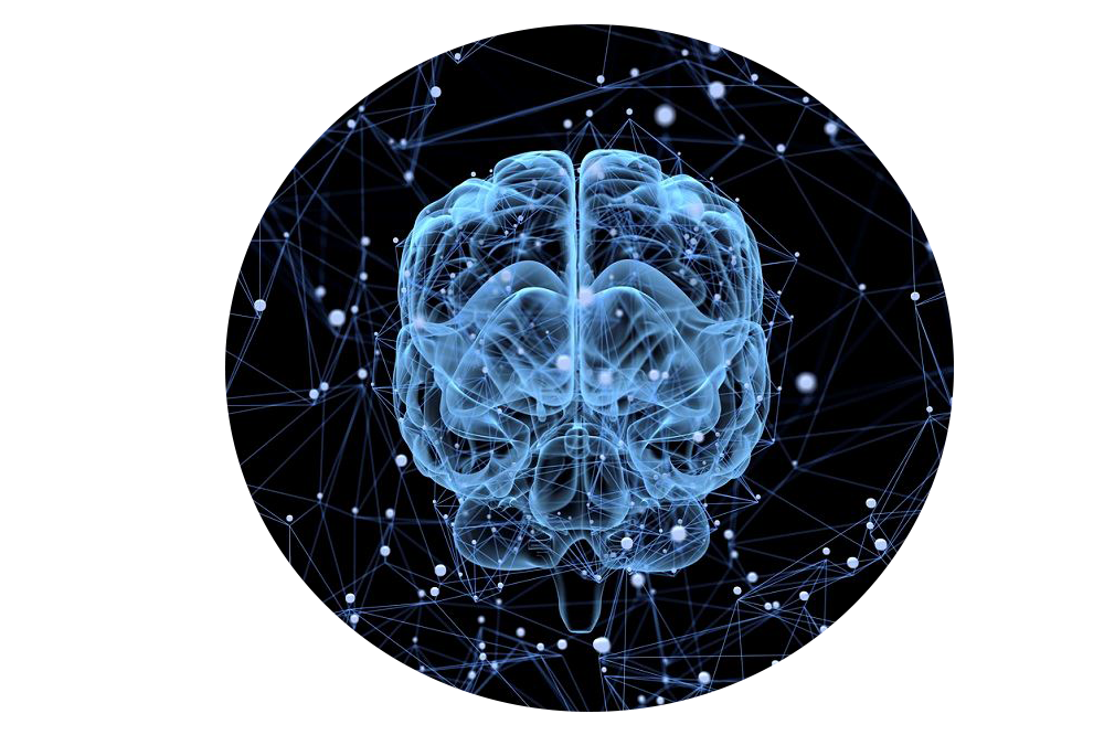 Нейронный мозг. Нейронная сеть мозга. Нейросетевые технологии. Искусственный интеллект.