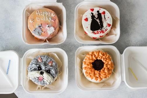 dietcakeschool.ru