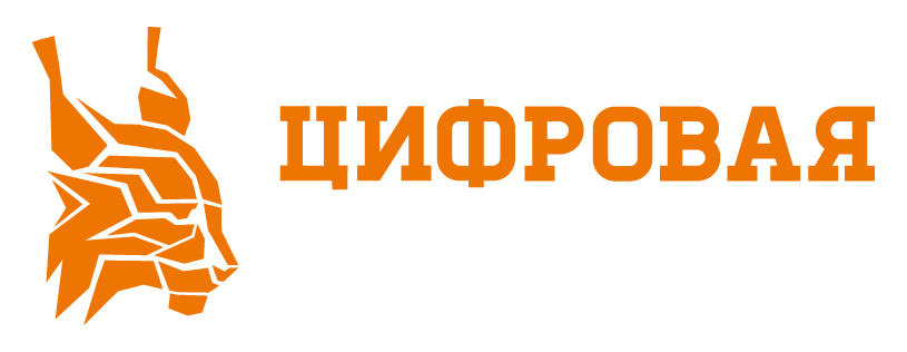 Цифровая безопасность