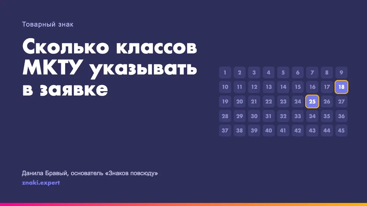 Сетка из 45 классов МКТУ, подсвечены два класса, которые нужны бизнесу: одежда и сумки