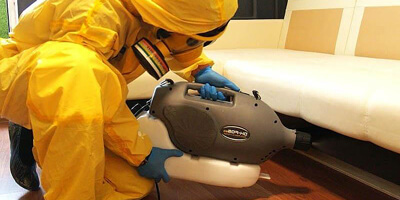 Дезинфекция клопов методом холодного тумана в Казани