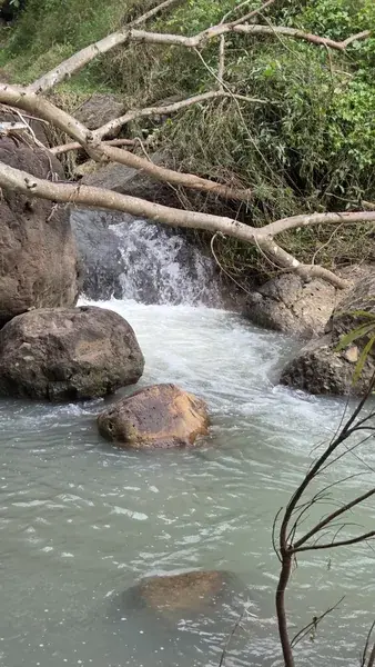 Небольшой водопад по камням в тропическом лесу
