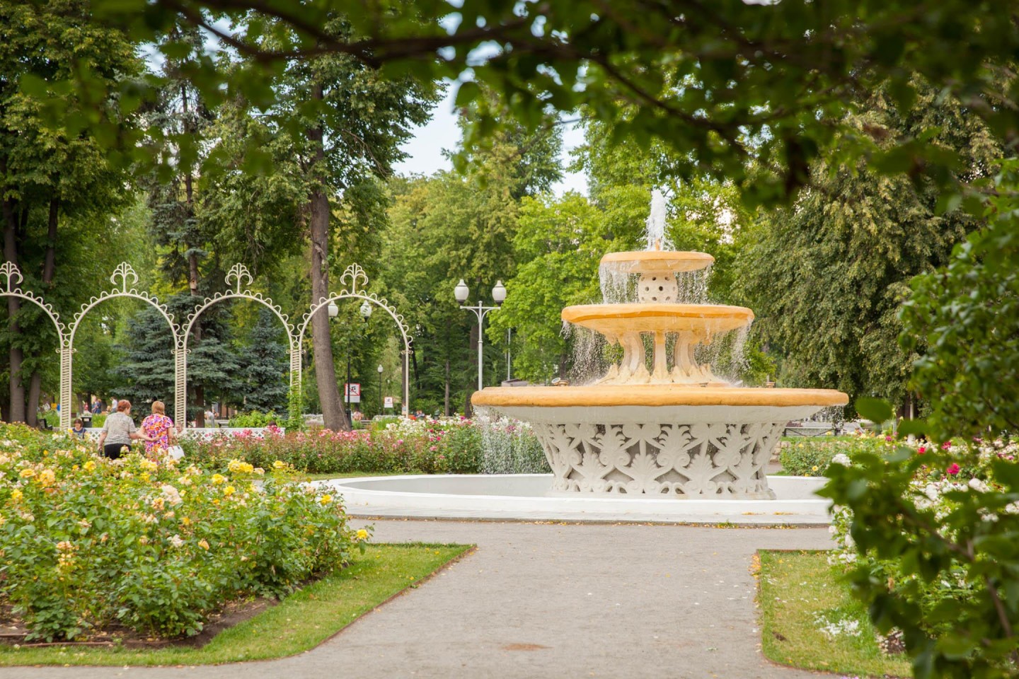 Розарий с фонтаном в парке Горького