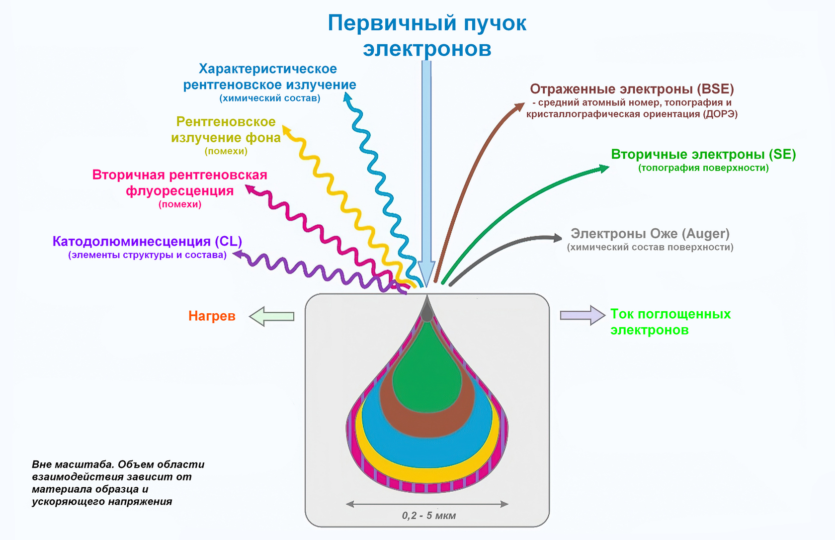 ИНСКАН - Что такое растровый электронный микроскоп?