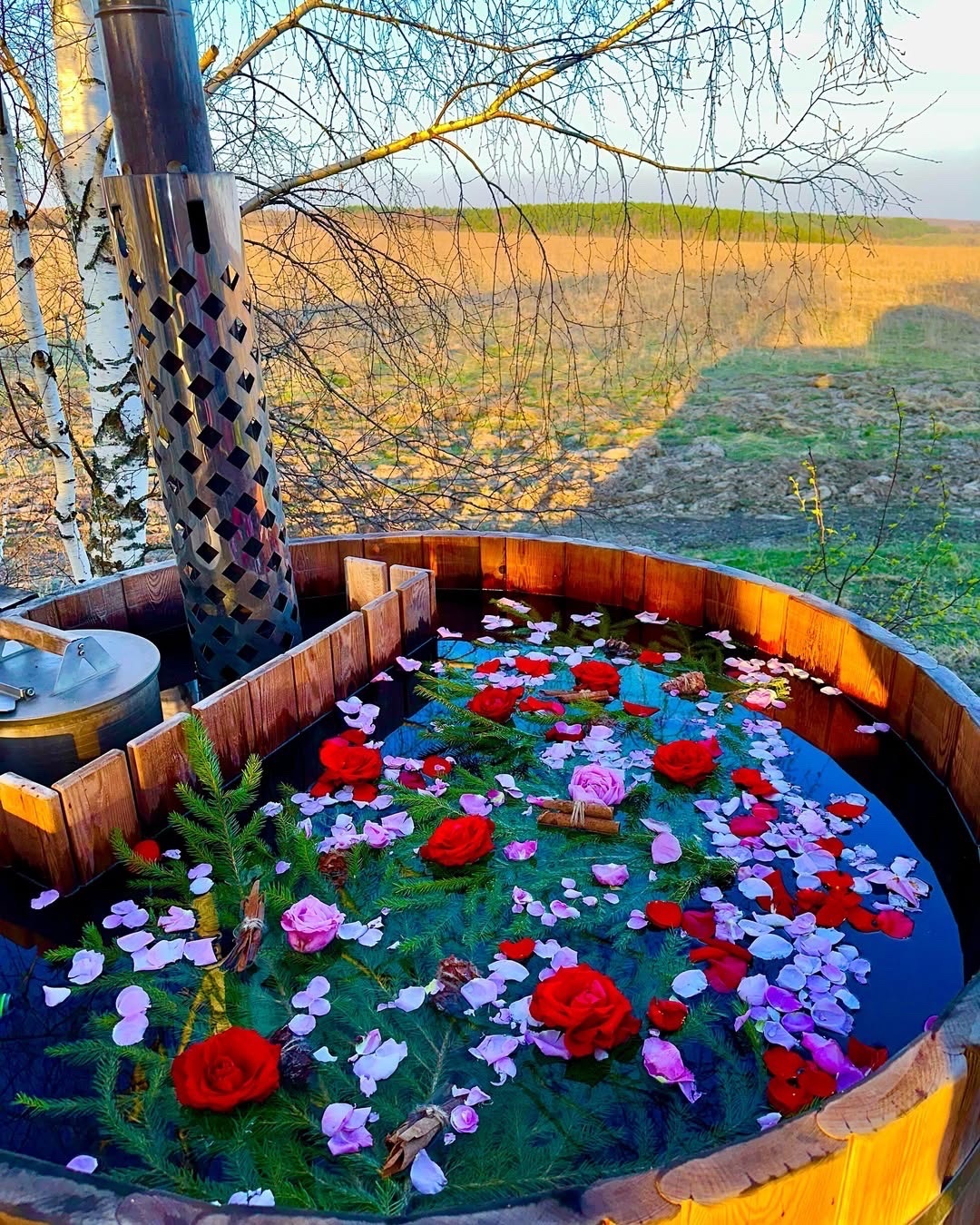 весенний запуск купели, подготовка купели после зимы, запуск купели весной, уход за купелью, первая заливка воды, купель после зимы