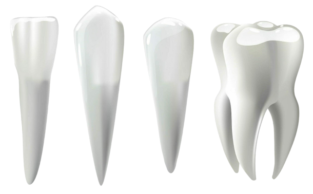 Хирургия | ABC Clinic