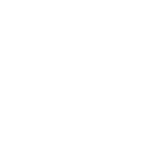 trewetch group