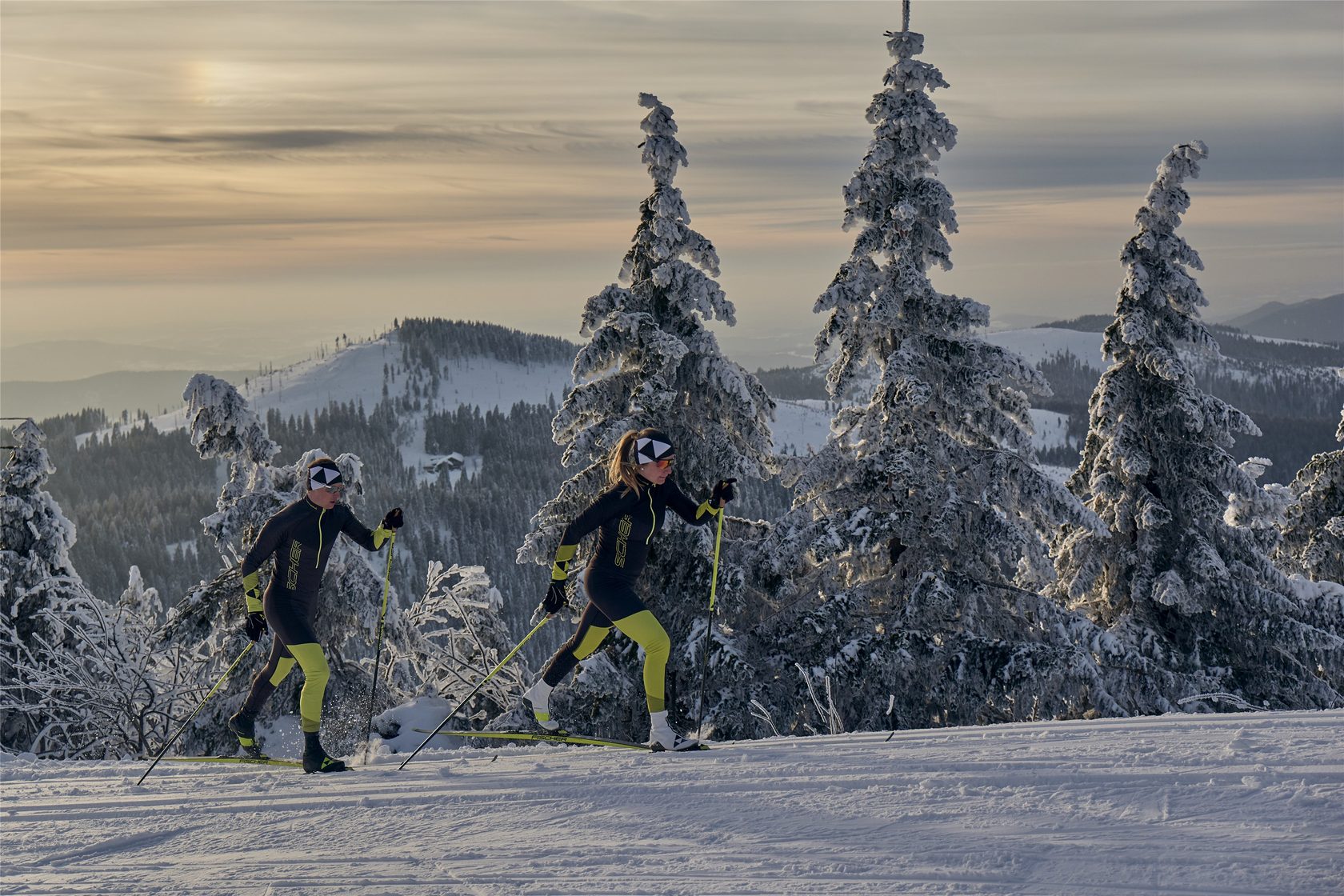 Новая Ski FNF