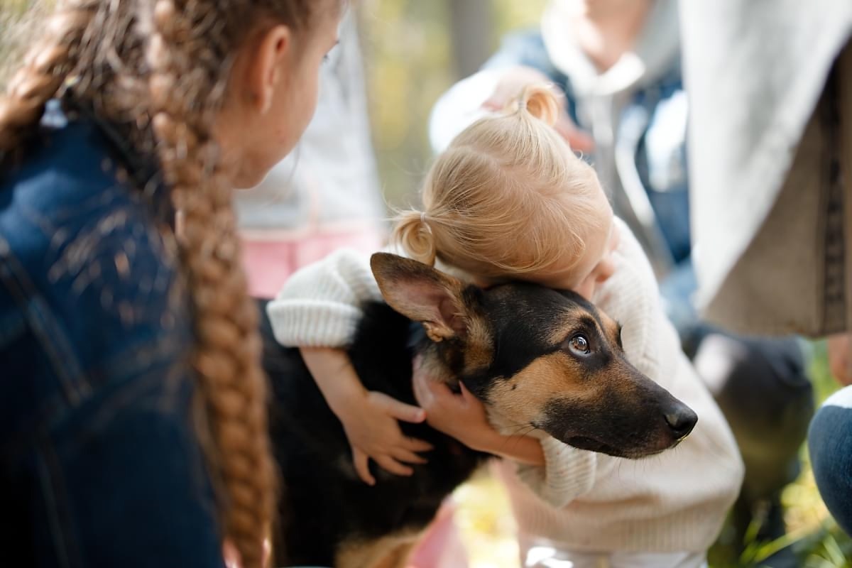 Благотворительный фестиваль «Собаки которые любят» в Москве 16 ноября 2025