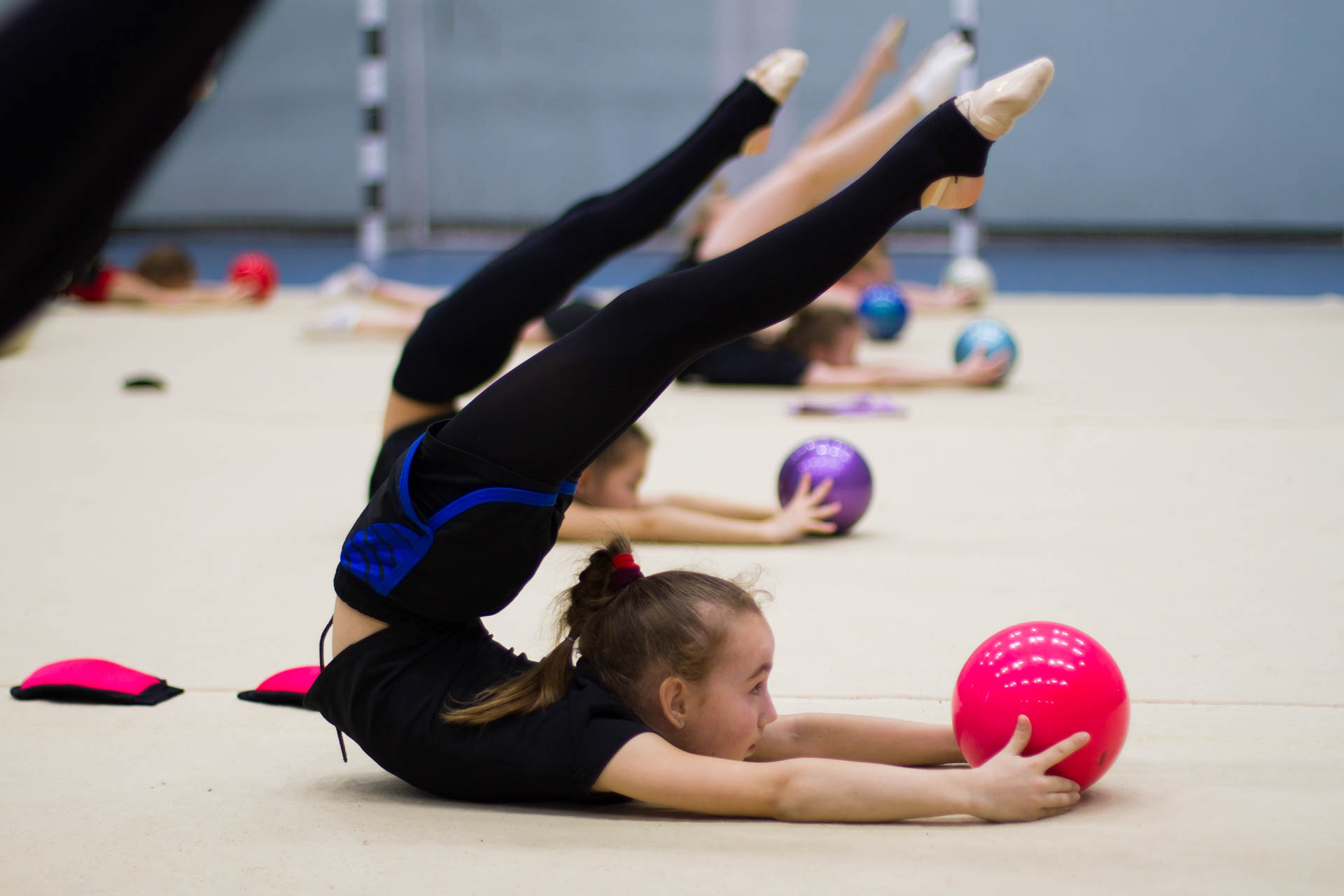 Гимнастика зимний вид спорта