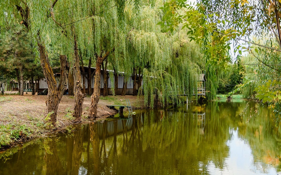 Туристические места Неклиновского района