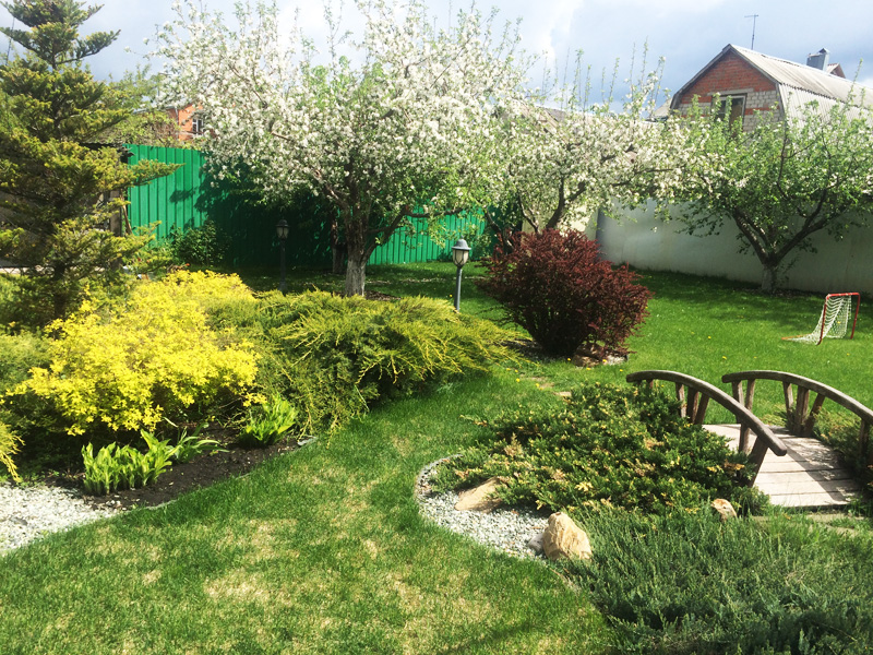 строительная компания левобережный район воронежа благоустройство участка