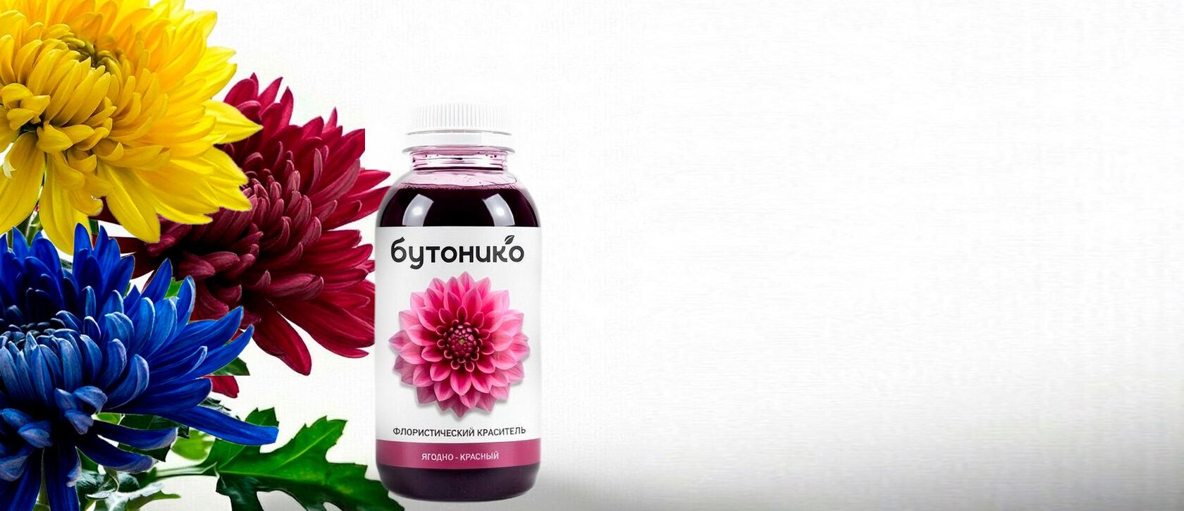 Бутонико — фlorистический краситель