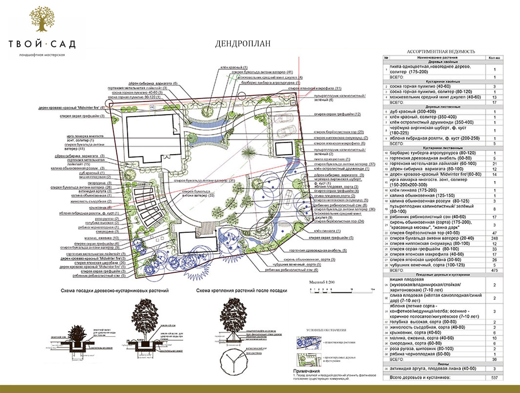 Планы по озеленению москвы