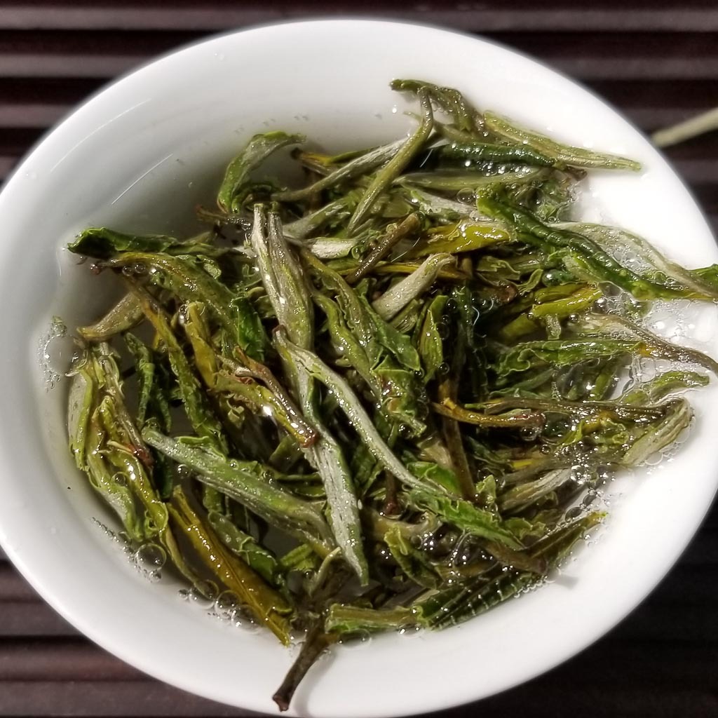 Dry Xinyang Hair Tips tea leaves showing pike shape