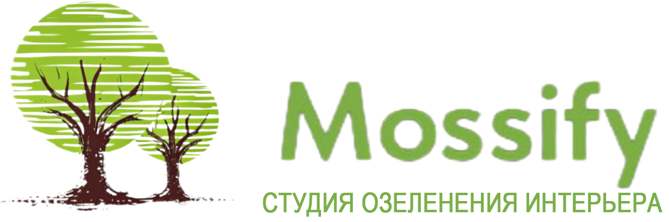 Company