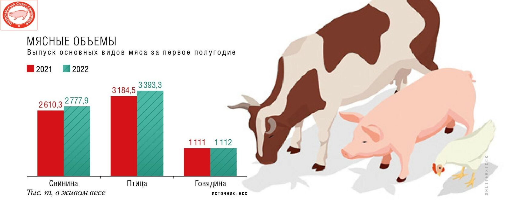 Страны лидирующие в разведении свиней