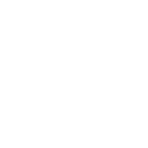 website icon