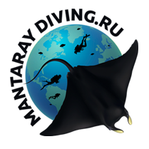 MntaRay Diving