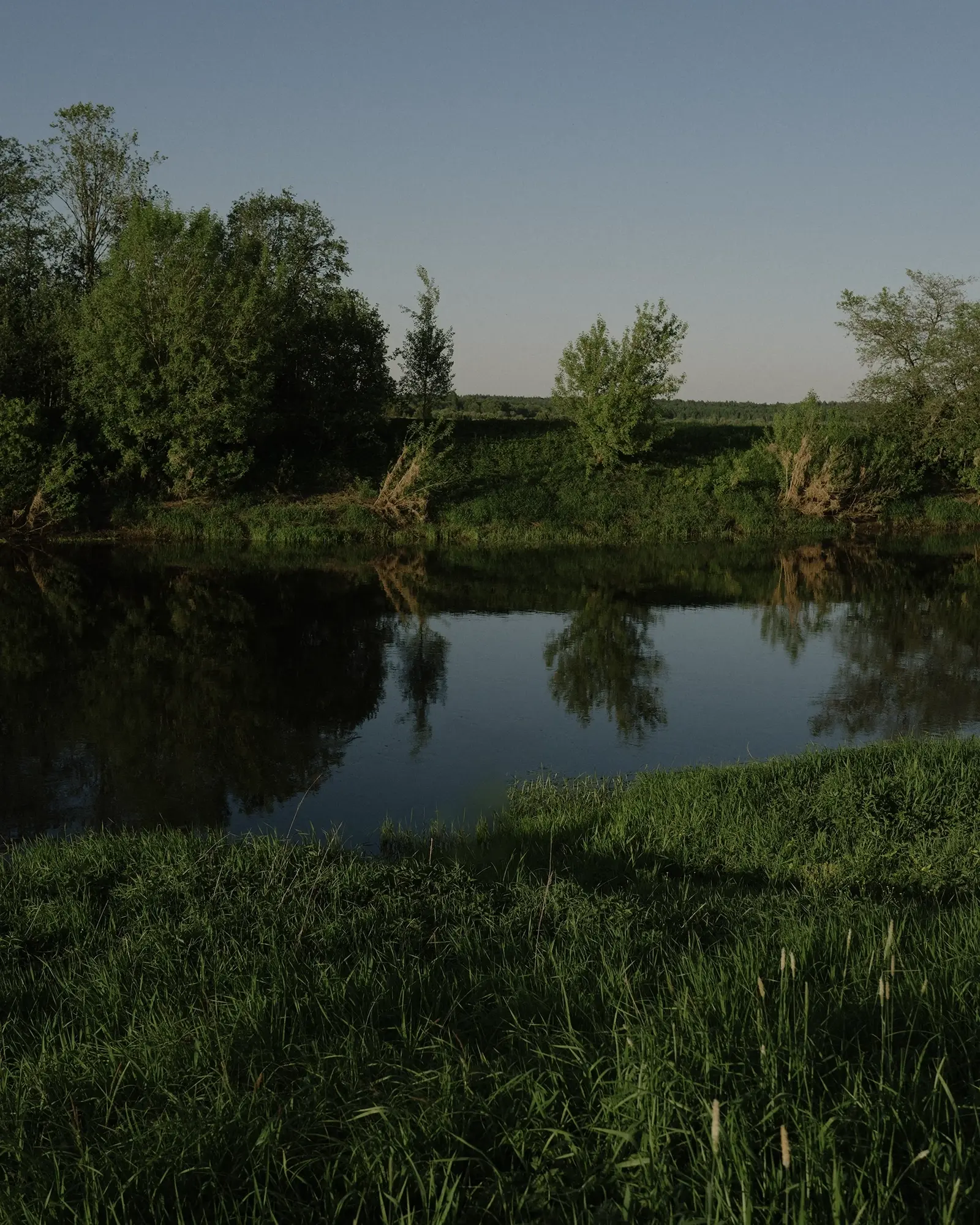 Река Нерль