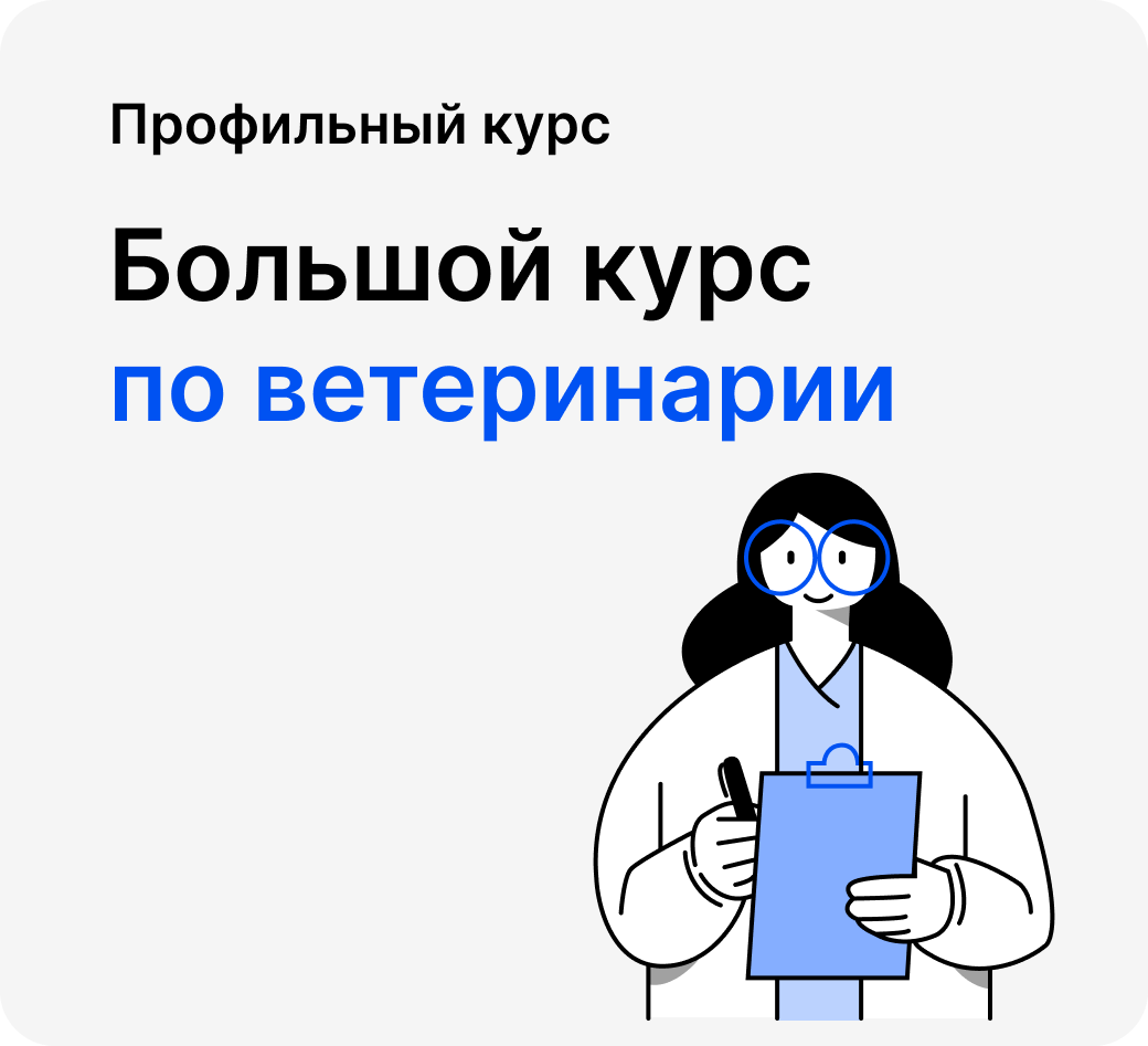 Большой курс по ветеринарии