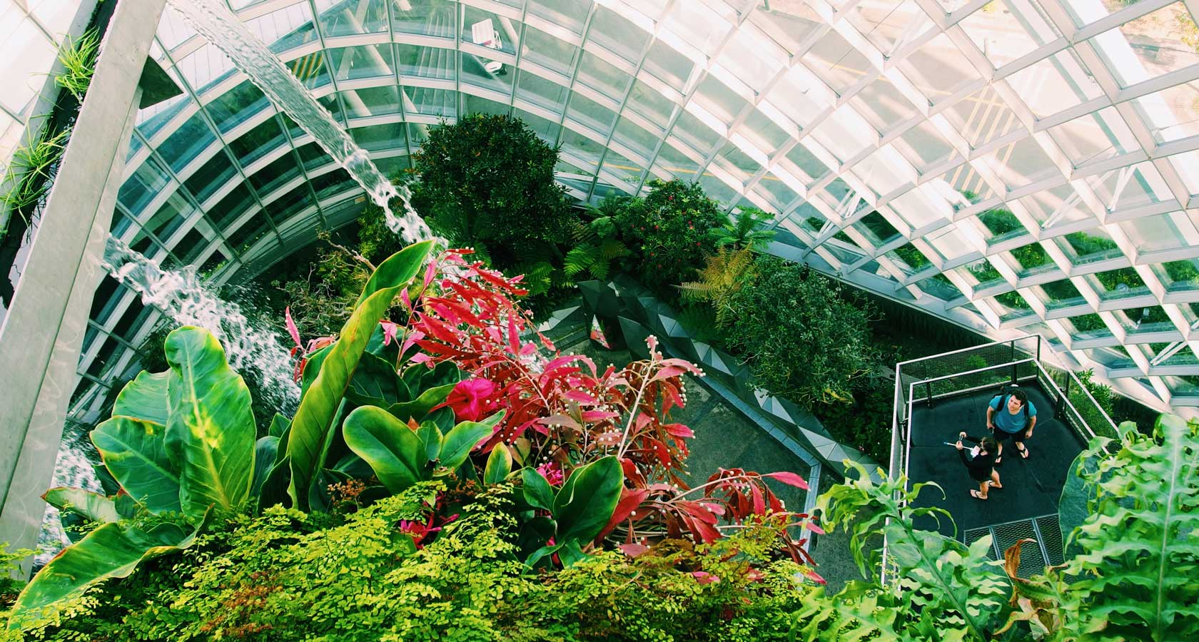 Падуя ботанический сад оранжерея. Cloud dome / flower dome сингапур. Light pillar greenhouse. Прибор в оранжерее 9. Пабси оранжерея.
