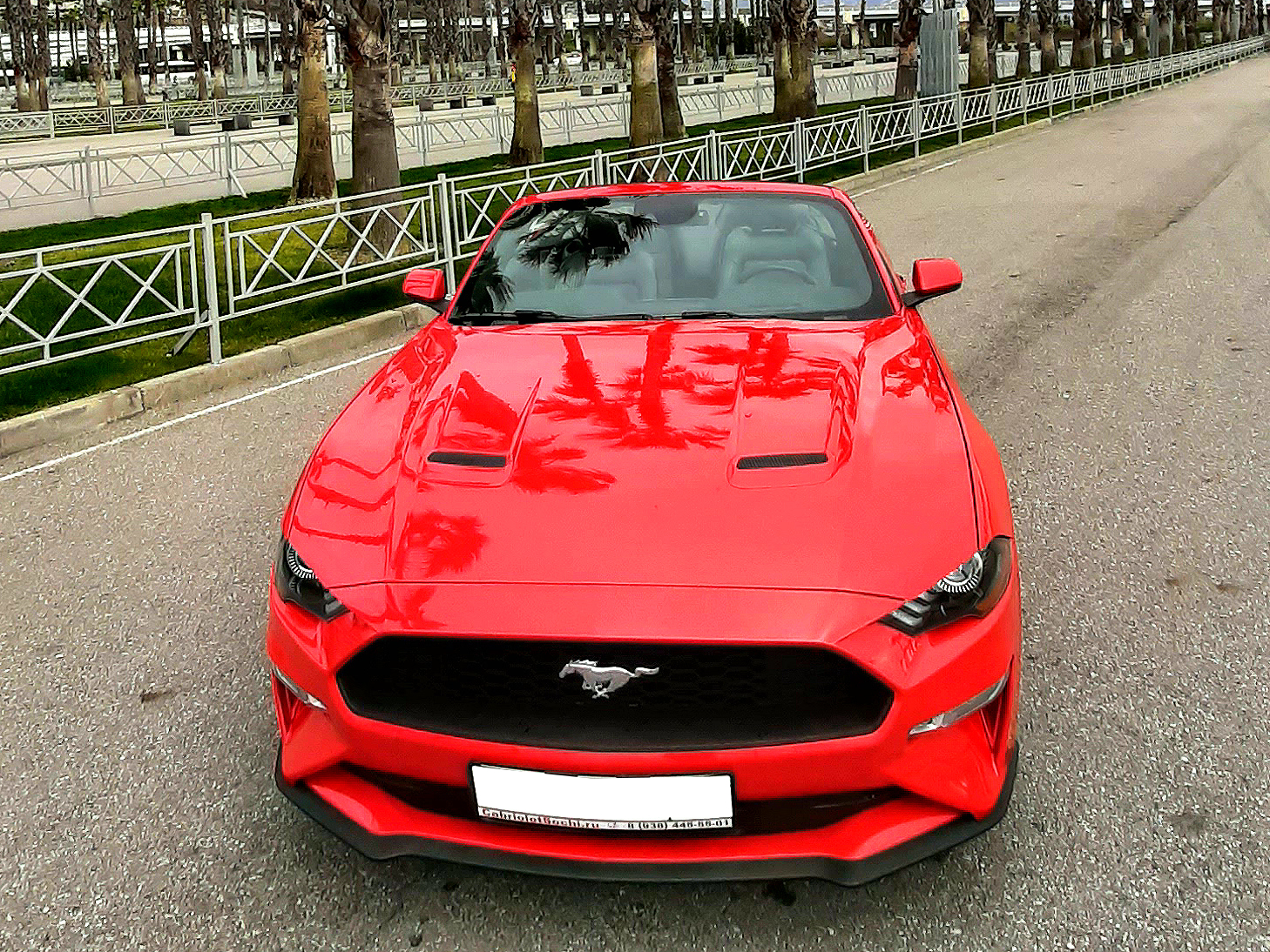 Красный Форд Мустанг 2020. Ford Mustang 2020 красный. Ford Mustang 2020 кабриолет. Мустанг 2020 кабриолет красная