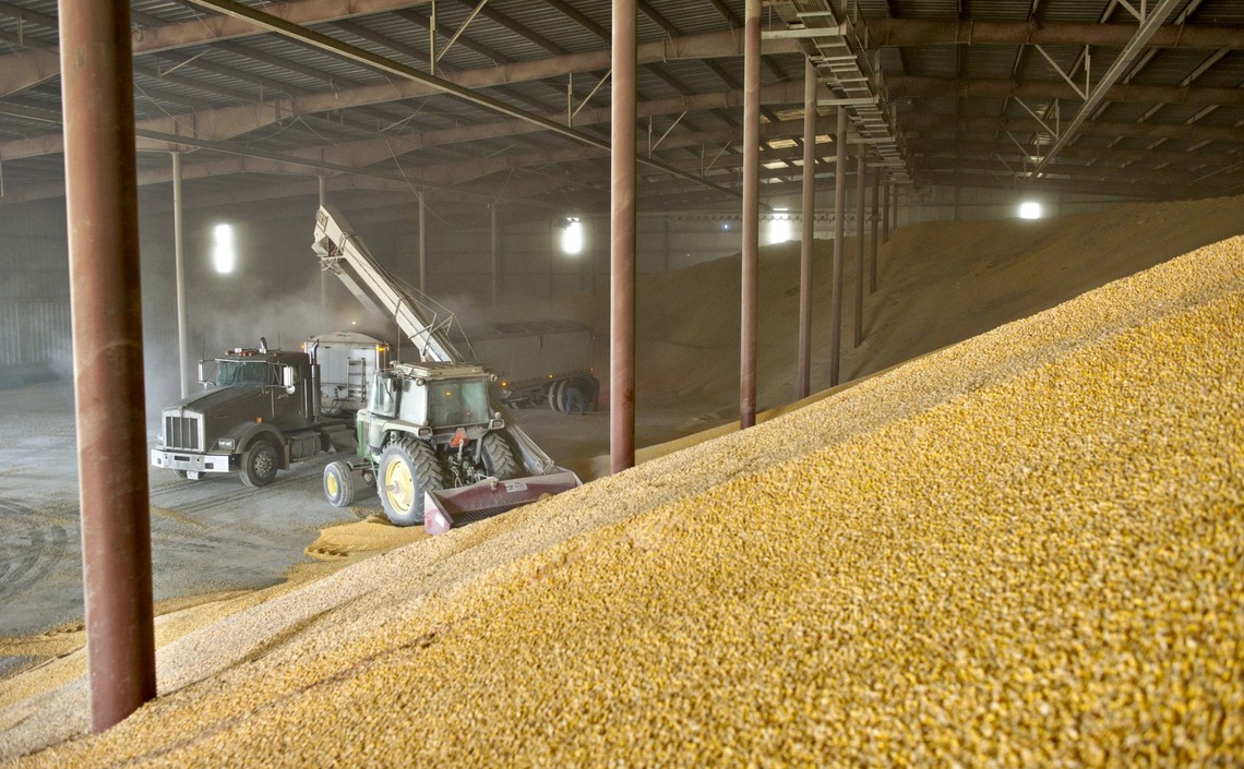 Промышленное хранение семян сельскохозяйственных культур