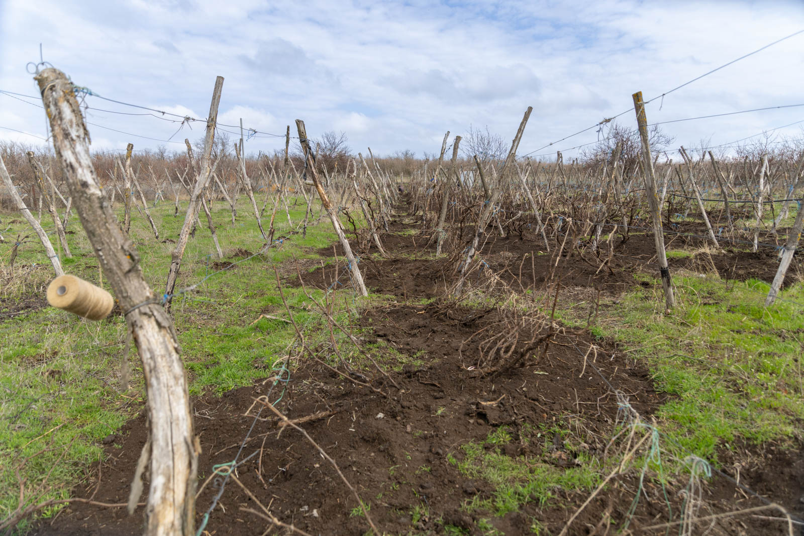 Экспедиция Золотые горки. Дорогами донских автохтонов