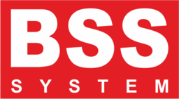 BSS SYSTEM